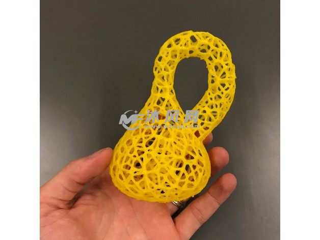 镂空克莱因瓶实物图