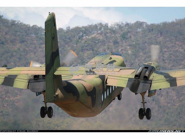 驯鹿飞机模型后视图