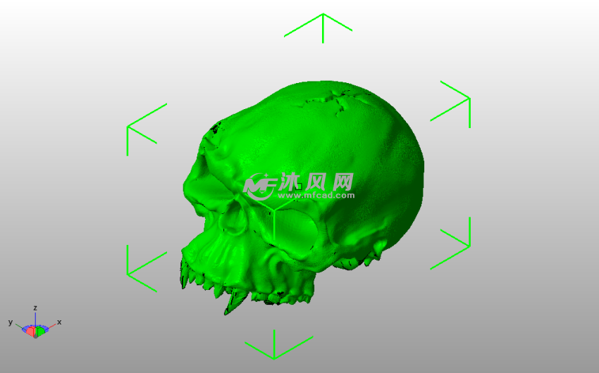 古尔丹头骨斜视图