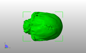 古尔丹头骨侧视图