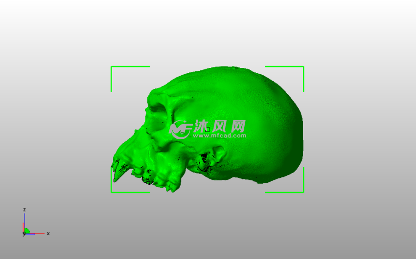 古尔丹头骨侧视图