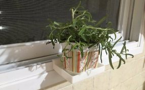 花盆底托模型放花