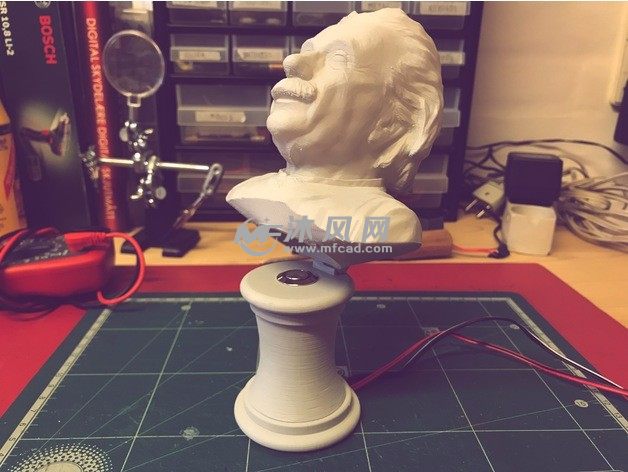 爱因斯坦半身像主视图