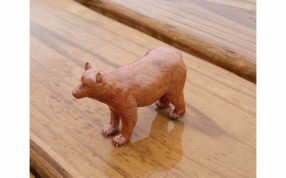 小棕熊模型斜视图