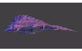 巢穴领主模型侧视图