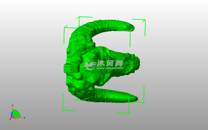 鳄鱼头骨钥匙链俯视图