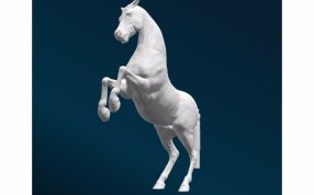 跳跃的骏马效果图