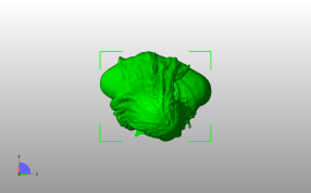阿凡达女主角俯视图