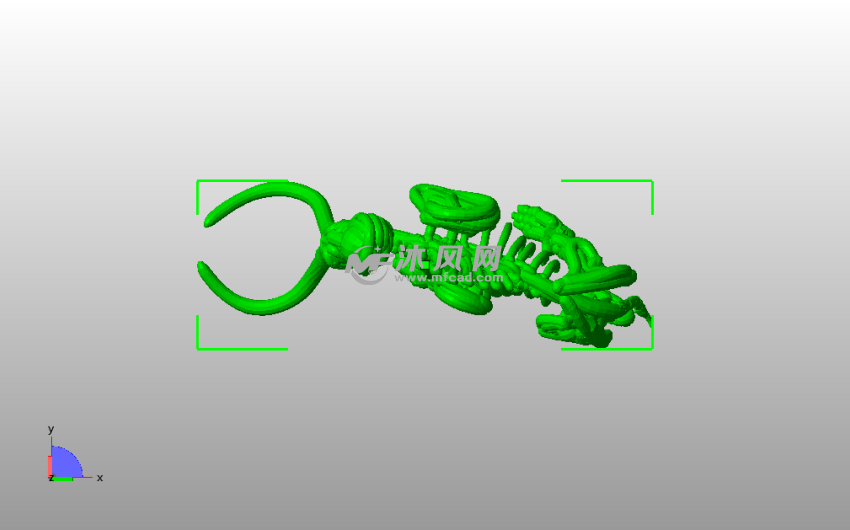 大象骨架模型俯视图