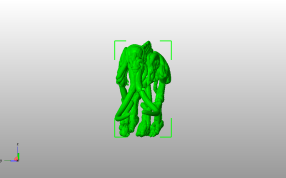 大象骨架模型主视图