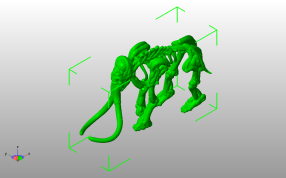 大象骨架模型斜视图
