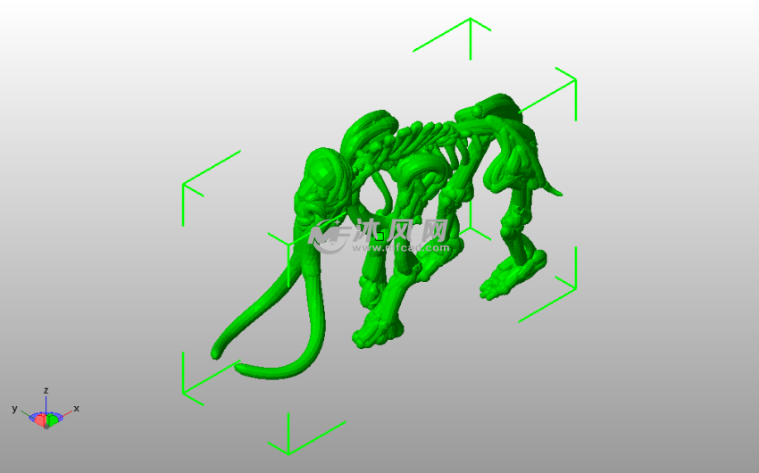 大象骨架模型斜视图