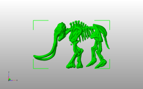 大象骨架模型侧视图