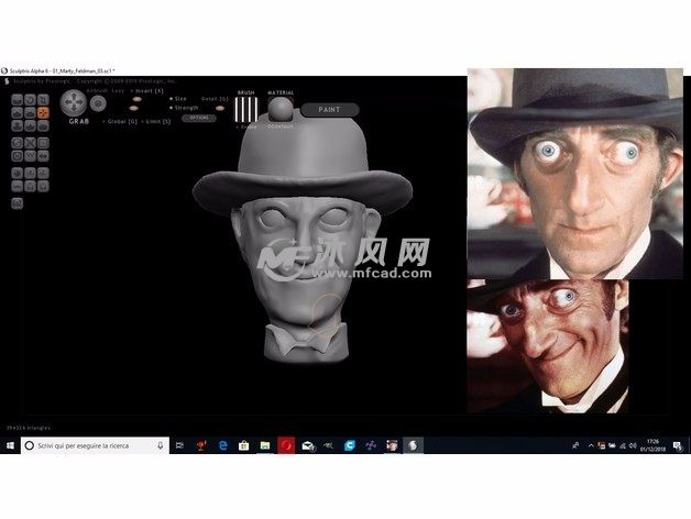 费尔德曼头像实物图
