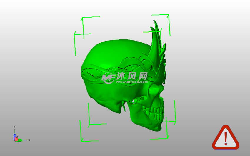 国王头骨模型侧视图