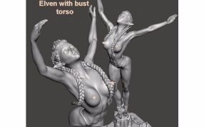 精灵芭蕾人物模型上半身