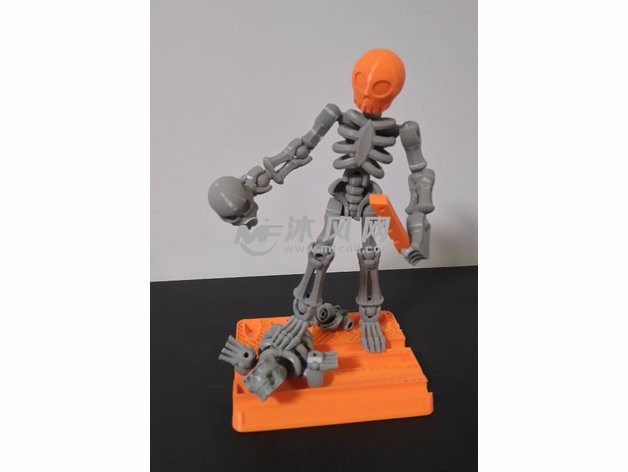 人体骨架模型主视图