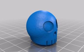 人体骨架模型头