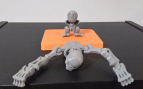 人体骨架模型零件图