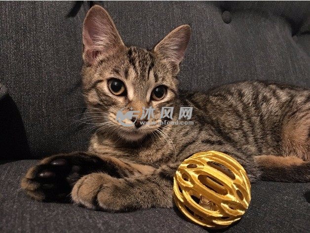 小猫玩具球实物图