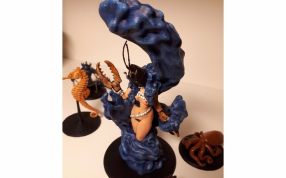 布里博杜普实物图