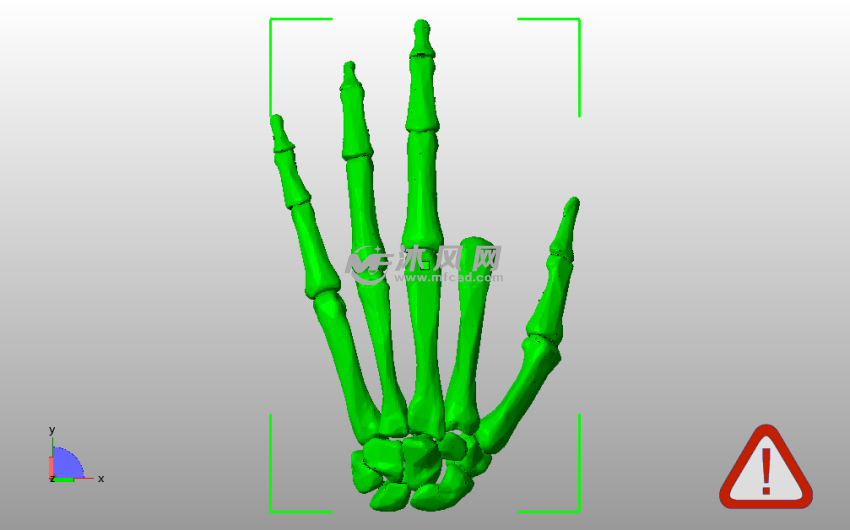 3D指骨模型俯视图