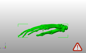 3D指骨模型侧视图