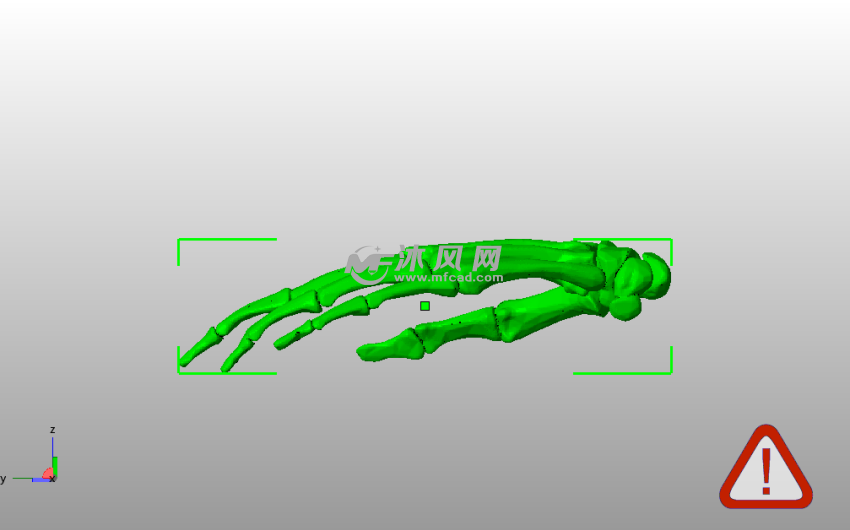 3D指骨模型侧视图