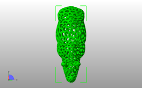 镂空犀牛模型俯视图