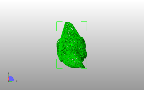 镂空鹰模型俯视图