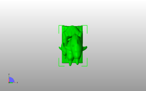 三只海豚模型俯视图