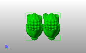 石狮子模型俯视图