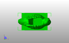 小天鹅模型俯视图