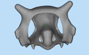 卡拉卡拉面具背后图