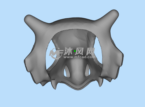 卡拉卡拉面具背后图