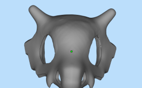 卡拉卡拉面具正面图