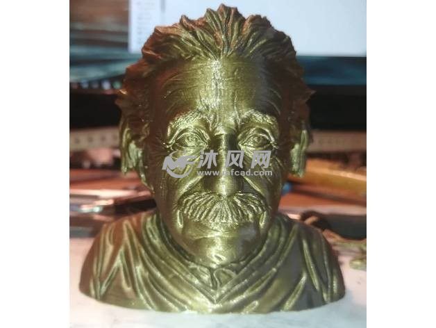 爱因斯坦半身像主视图