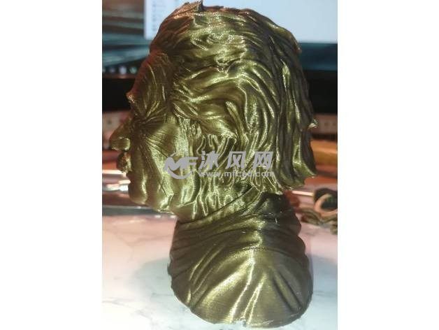 爱因斯坦半身像侧视图