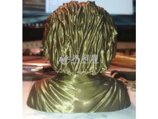 爱因斯坦半身像后视图