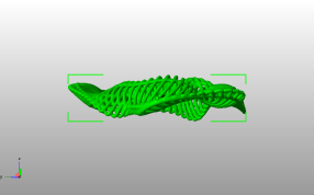 肋骨圆环模型主视图