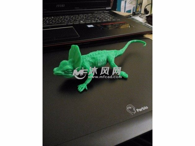 蜥蜴3D模型实物图