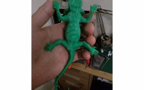 蜥蜴3D模型俯视图