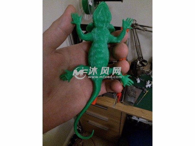 蜥蜴3D模型俯视图