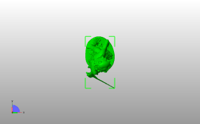 大卫与歌利亚的头俯视图