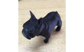 法国沙皮狗实物图