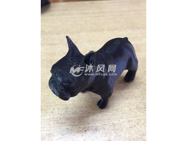 法国沙皮狗实物图