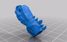 火龙3D模型身体