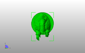 克朗普斯模型俯视图