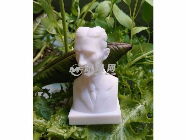 特斯拉半身像实物图