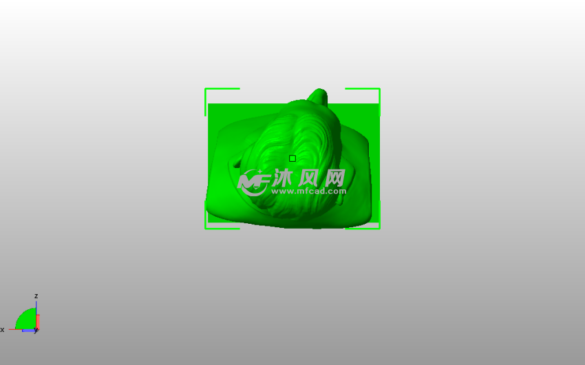 特斯拉半身像俯视图